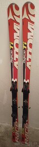 176 cm lyze ATOMIC GS Race Ti a ATOMIC Redster GS - 2