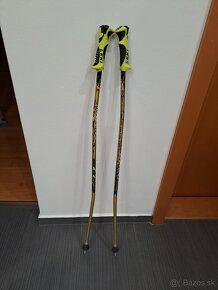 Palice "Leki" 104 cm - 2