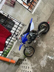 Pit bike 125 - 2