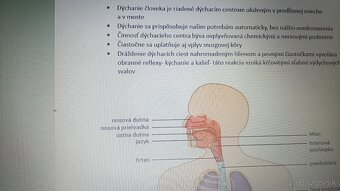 MATURITNÉ TÉMY- SJL, AJ, BIO, OBN - 2