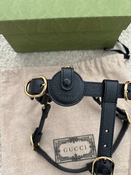 Postroj pre psa Gucci - 2