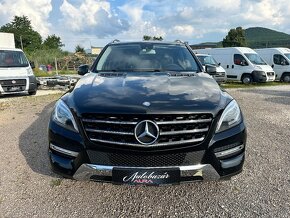 Mercedes-Benz ML 250 BLUETEC 4MATIC - 2