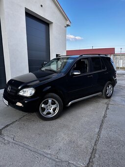 Mercedes Benz ML270cdi W163 - 2