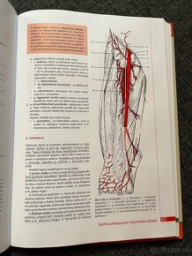Anatómia Mráz 1,2 - 2