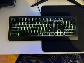 Klávesnica Razer Cynosa V2 - 2