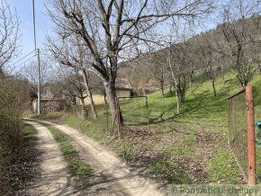 Rozsiahla vinica s chatkou nad obcou Hrušov - 2