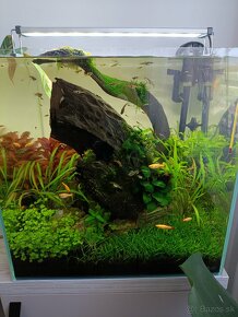 Akvarium 45x45x45cm optiwhite - 2