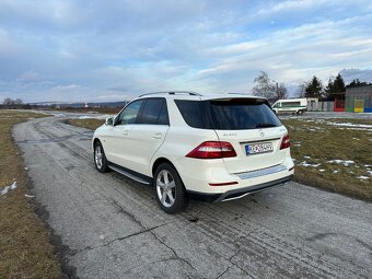 Mercedes-Benz ML 250 4MATIC - 2