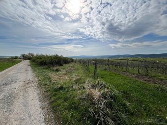 Predám pozemok v Modre, okres Pezinok: 783 m² - 2