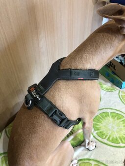 Non-stop Dogwear postroj line 3 - 2