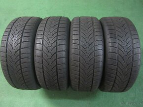 R17 Zimná sada PLATIN rozteč 5x112 225/50R17 PLATIN - 2