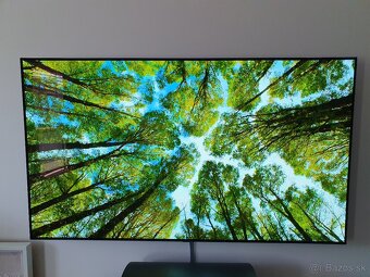 Televízor 65" LG OLED65C11 - 2