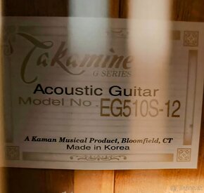 Takamine EG 510S-12 - 2