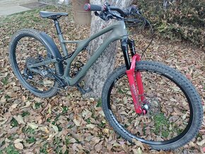 Specialized Stumpjumper ST Carbon 29 L - 2