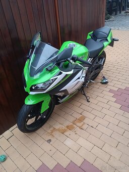 Kawasaki Ninja 300 30th anniversary edition  - 2