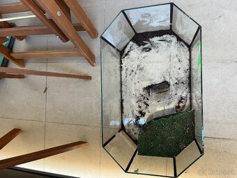 Terarium - 2