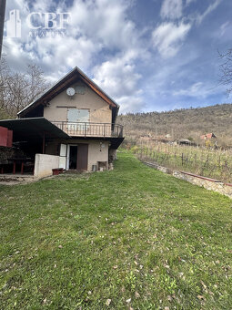 ZNÍŽENÁ CENA - Záhradná chatka s vinicou v obci Hrušov - 2