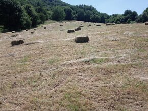 Predám  Horské  seno   v  malých    balíkoch . - 2