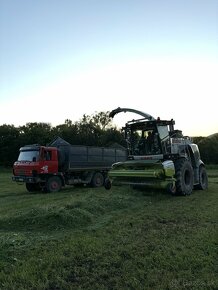 Agroslužby - odvoz / preprava Tatra Agro 815 - 2