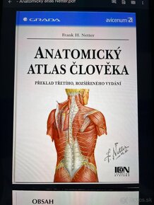 Podklady na anatómiu (PDF.) - 2