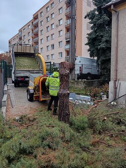 Výrub stromov, rizikové pílenie a orez stromov - 2