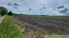 Lesný pozemok 37 000 m2 - 3,7 ha v obci Borský Mikuláš, 60 - 2