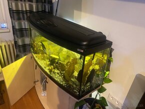 Akvarium 130x40x50 zaoblene - 2