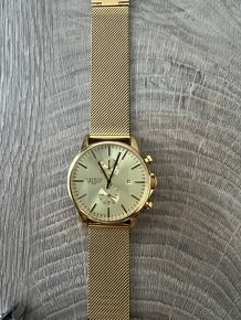 Invicta, fossil - 2