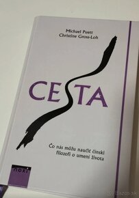 Cesta - 2