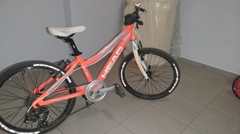 Detsky bicykel 20 - 2