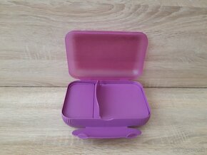 Tupperware Variant box - 2