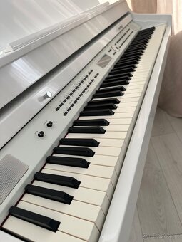 Digitalne piano klavir kridlo Thomann - 2