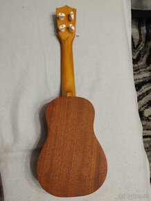 Ukulele - 2