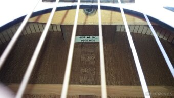 Akustická gitara Takamine G series - 2