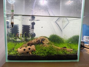 akvarium 30l - 2