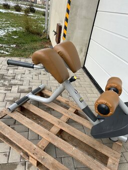 Hyperextenzia Technogym Element - 2