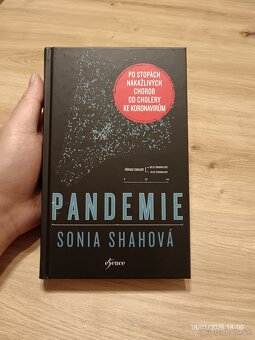 Pandemie - 2