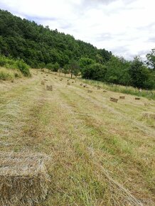 Seno, luceren.Jačmenna slama - 2