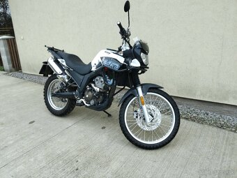 UM DSR Adventure TT 125 - 2