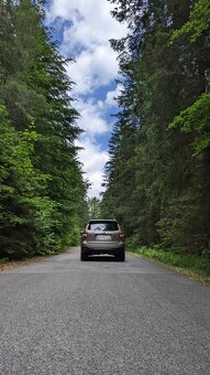 Subaru Forester SUV 110kw Automat - 2