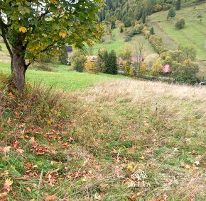 DELTA - NA PREDAJ POZEMOK - obec Osturňa - 2159m2 - 2