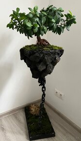 Kvetináč bonsai bonsaj - 2