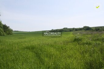 HALO reality - Predaj, orná pôda   17566 m2 Rozhanovce - 2