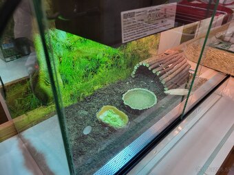 Terarium pre korytnacku - 2