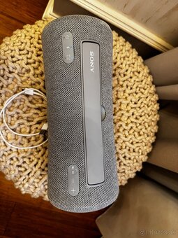 Sony SRS-XG300 - 2