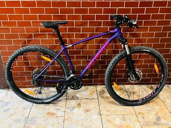 Specialized Rockhopper Expert - 2