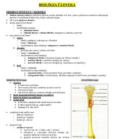 Poznámky z biológie - Biológia ČLOVEKA - 2