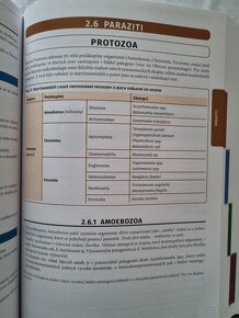 Lékařská Mikrobiologie - Repetitorium (3. vydanie) - 2