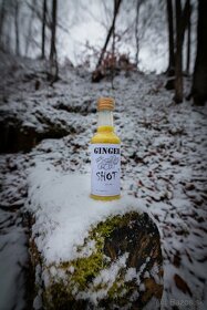 Gingershot² - 2