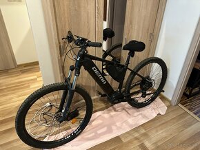 Dema Ergo Ebike - 2